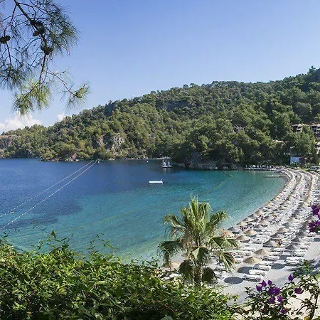 Hillside Club 5*