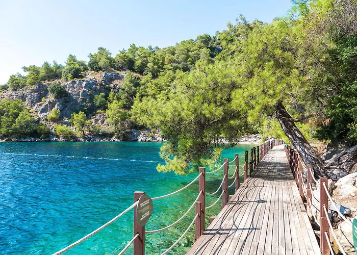 هيلسايد بيتش كلوب 5*